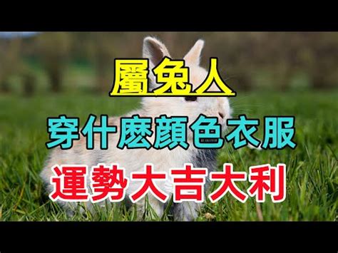 幸運色五行顏色|從「生肖」看什麼顏色會幫你帶來好運，生肖鼠適合黑。